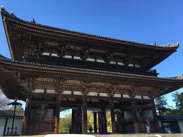 Ninna-ji Temple Kyoto